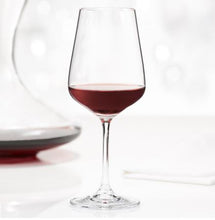 Load image into Gallery viewer, Verres vins corps et âme Trudeau Ensemble de 4 verres à vin rouge Splendido - 450ml